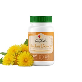 GAERO GLOBAL SOLUTION - Cápsulas Té Diente De Leó Té Verde Jengibre y Manzanilla - Herbes Douces Ga Tlali 60 Cápsulas - Detox, Antioxidante y Soporte