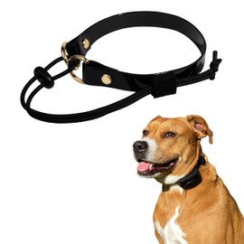 eCollar Replacement Strap Bungee Style - Dog Shock Collar Replacement Strap - Dog Collar for Shock Collar - Replacement Collar - sportdog Replacement Collar (Black, 1" - Width)