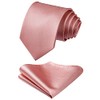 HISDERN Men's Wedding Ties and Pocket Square Tie Clip Set,
