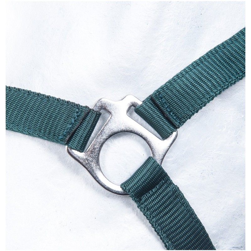 HKM by Reiterladen24 Basicline Headcollar Dark Green Pony