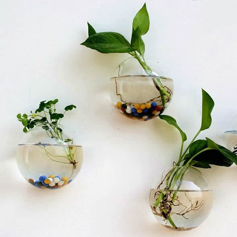 Yarlung 6 Pack Wall Hanging Planters Terrarium, 4.7 Inch Glass
