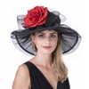 SAFERIN SAFERIN Women's Organza Church Kentucky Derby Hat Feather Veil