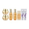 Sooryehan Fermented Hyoyun Basic Set 3 types (Skin + Cream + Ampoule) x2 + Spot Blemish Cream 60ml x2 / 수려한 발효 효윤 기초세트 3종 (스킨+크림+앰플) x2 + 기미 잡티 크림 60ml x2