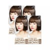 CS 꽃을든남자 CS먹물 프리미엄 헤어 칼라크림 새치커버용 염색약 N6 자연갈색 x 4개 Premium Hair Color Cream for Thinning Hair Coverage, Natural Brown N6, 4 Pieces
