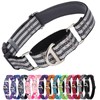 MAOWUWUJOZ Martingale Collar for Dogs - Reflective Nylon No Slip