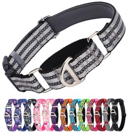 MAOWUWUJOZ Martingale Collar for Dogs - Reflective Nylon No Slip Choke Heavy Duty Collar with Quick Release Buckle -Safe Fit for Training & Walking Silver M