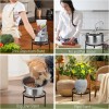 CADANI 5-Pack Metal Plant Stands for Outdoor Indoor, Anti-Rust Iron