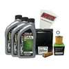 Cyclemax Full Synthetic Tune Up Kit with Spark Plugs compatible