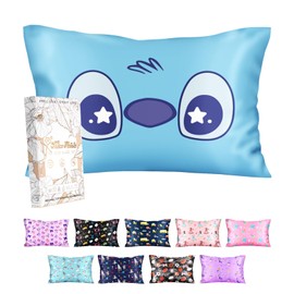Miss Adola Silk Pillowcase for Kids - 30 x 20 Inches Queen Size Mulberry Silk Pillow Case with Zipper Cute Cartoon Kawaii Teens Girls Boys Pillowcase for Hair and Skin, Blue Eye