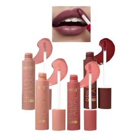 Set De 4 Labiales Liquidos Matte Elegantes Y Versátiles                                                                                               
