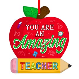 PETCEE Teacher Appreciation Gifts - Thank You Teacher Ornament Gifts for Women Double Sided You are Amazing Teacher's Day Christmas Ornaments for Graduation Retirement Birthday Present Decorations