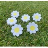6-Pack Daisy Flower Drawer Knobs – White & Yellow Decorative