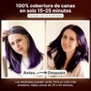 Herbishh - Champú colorante para cabello gris, champú con tinte