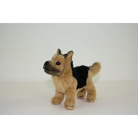 Kösener 4070 – German Shepherd puppy