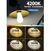CRLight 6W Dimmable (60W Equivalent) 4200K Daylight White LED Edison