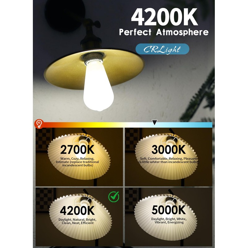 CRLight 6W Dimmable (60W Equivalent) 4200K Daylight White LED Edison