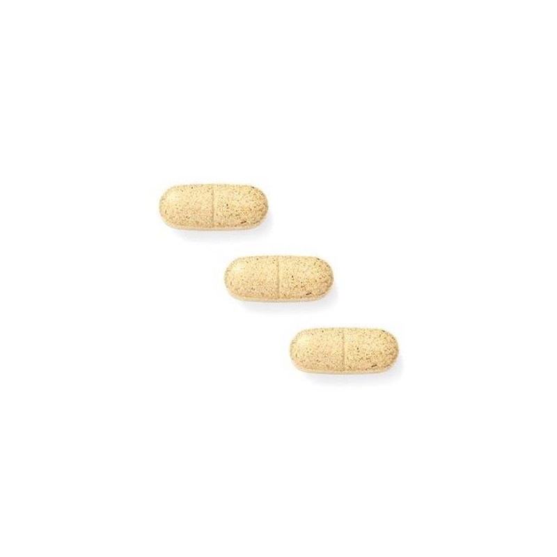 New Origin 뉴오리진 히말라야 간건강 밀크씨슬 (60일분) x 3개입 New
