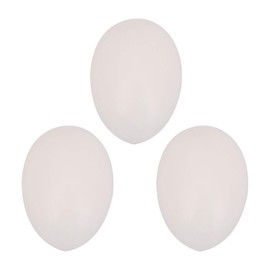 RDEXP Plastic White Solid Fake Dummy Egg for Pigeons Pack of 10