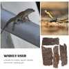 BESPORTBLE Cork Bark: 4Pcs Natural Bark Backdrop Reptile Cork Hideout