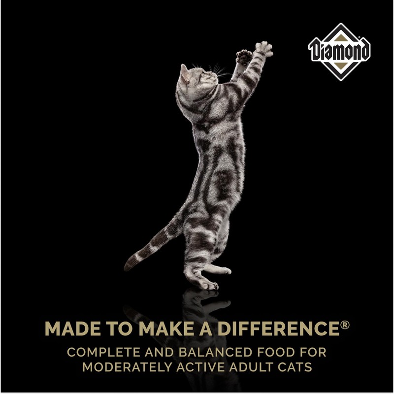 Diamond Legacy Premium Recipe Maintenance Complete And Balanced Dry Cat