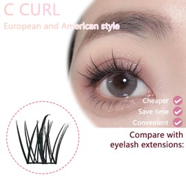 10 Rows Segment Type, Eyelash Accessory, 3 Levels, Fits Lids, For Women, Natural & Glamorous, Natural False Eyelashes, For Partial Use, Large Capacity, Natural, Self-False Eyelashes