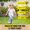 Super Ninja Fake Wasp Nest - 2 Pack, Wasp Nest