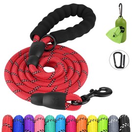 Joytale Reflective Dog Leash, Heavy Duty Nylon Rope with Poop Bag Holder, Highly Reflective Threads Leashes for Small Dogs, Red, 5'×3/8''