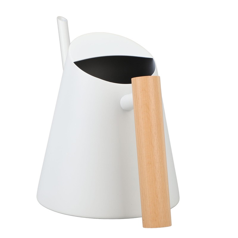 Watering Can with Long Spout 800ml Stainless Steel Matte Indoor