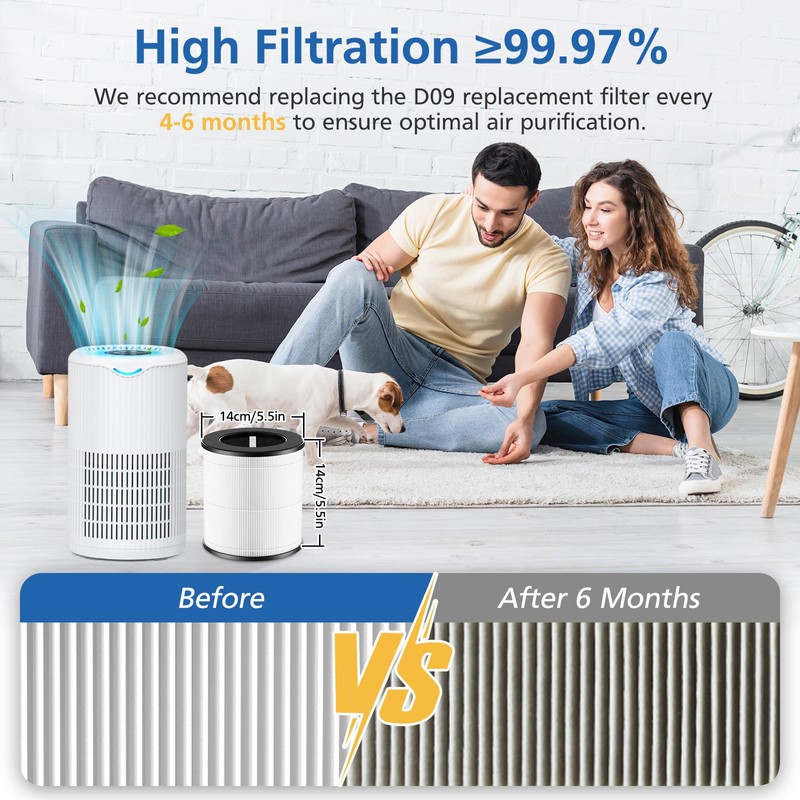 JORAIR D09 Replacement Filter Compatible with Tailulu Air Purifier Cleaner