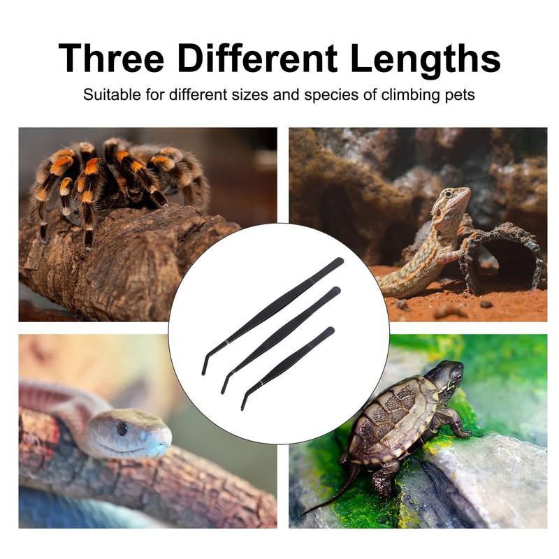Reptile Feeding Tongs Prevent Slip Stainless Steel Thickened Reptile Feeding