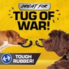 Tonka 3-Ring Tug Outdoor Dog Toy, 10.5 Inch Ring Dog