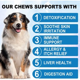 Allergy & Immunity Chews for Dogs, Dog Allergy Relief Treats, Itch and Immunity Treats for Dogs - Dog Allergy Chews for Skin & Seasonal Allergies, Itch Relief for All Dogs - Duck 150 Count