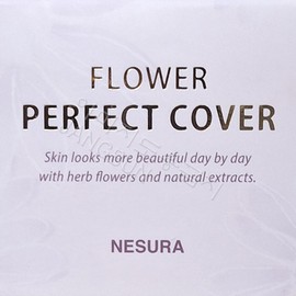 My Mom Partner Company Flower Grandma Cosmetics 23g Mom Black Blemish Natural Cover All-in-One Foundation Concealer Bright Beige / 플라워 할머니 화장품 23g 엄마 검은 잡티 자연 커버 올인원 파운데이션 컨실러 화사한베이지