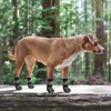 KOOLTAIL Dog Socks for Hot/Cold Pavement to Prevent Licking Paws