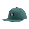 Dickies Men's Skateboarding Flat Bill Cap Green