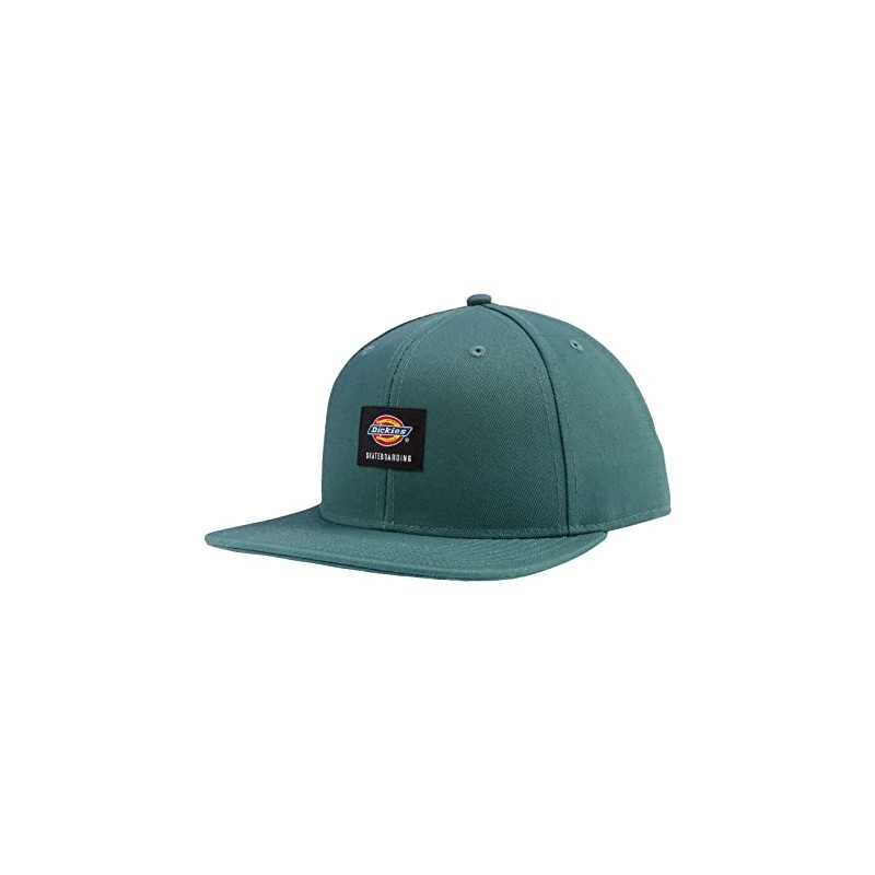 Dickies Men's Skateboarding Flat Bill Cap Green