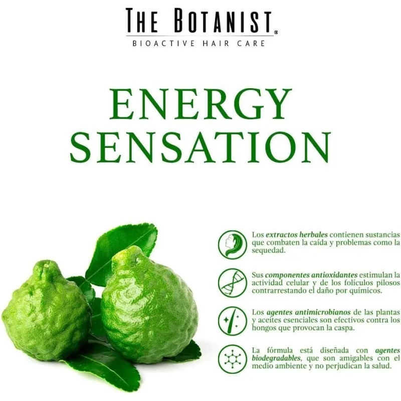 Shampoo Bergamot Basil 591ml THE BOTANIST