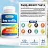 Best Naturals Boswellia 250 mg 120 Capsules - Standardized to