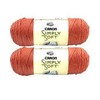 Bulk Buy: Caron Simply Soft Yarn Solids (2-Pack) (Persimmon)