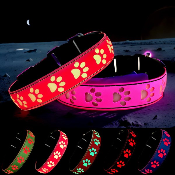 DOGLED LED Light Up Dog Collar, USB-C Rechargeable, Multicolor Paw