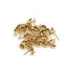 Design61 50x Nails Rug Diameter 3 x 30 mm Brass-Plated
