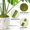 DUSPRO Green Stackable Mesh Moss Pole for Plants Climbing Vine