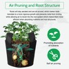 JERIA 12-Pack 20 Gallon, Vegetable/Flower/Plant Grow Bags, Aeration Fabric Pots