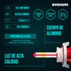 EVOLUM Master - Luces Led para Auto - 22,000 lumenes