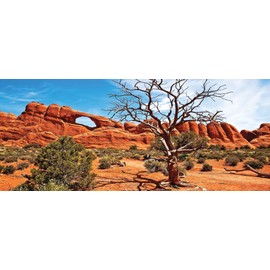 Carolina Custom Cages Reptile Habitat Background; Arch with Tree, for 48Lx18Wx36H Terrarium, 3-Sided Wraparound