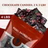Fun Size Milk Chocolate Candy Pieces Bulk 2 x 2lb