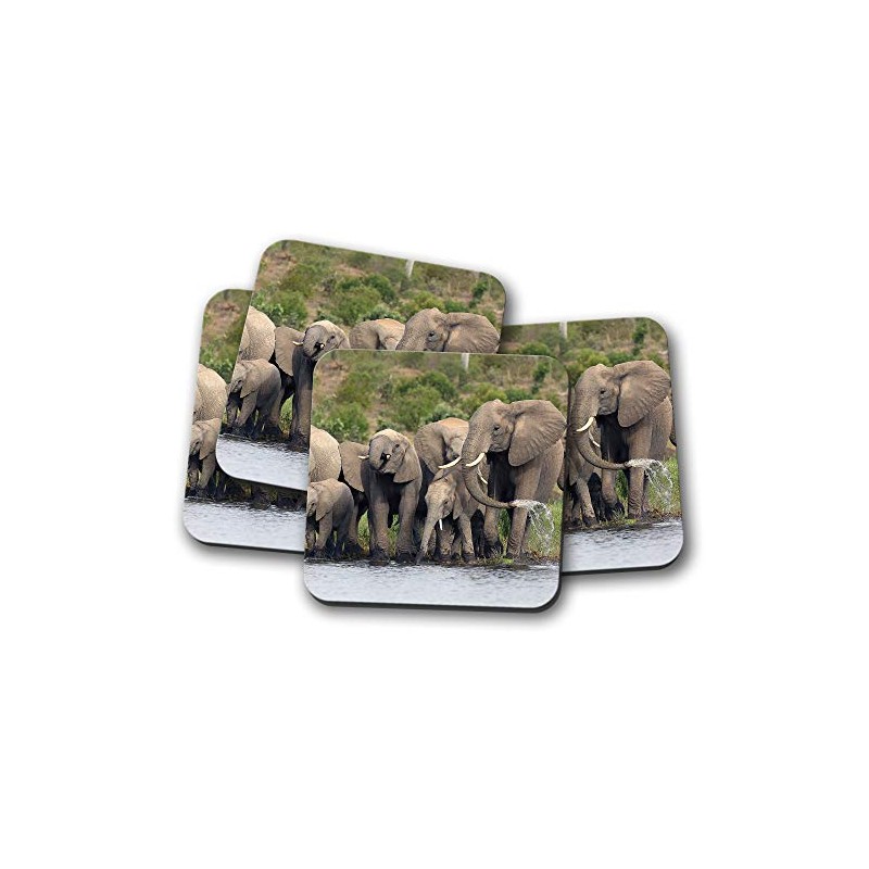 4 Set - Elephant Herd Coaster - Wild Africa Baby