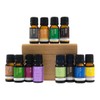 ECO. Modern Essentials Aromatherapist Essentials Box, 12 x 10ml