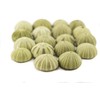 Sea Urchins Shells for Air Plants - 18 Green (1.75-2.5")
