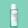 Deep Cleansing & Minimizing Pore Toner Pads